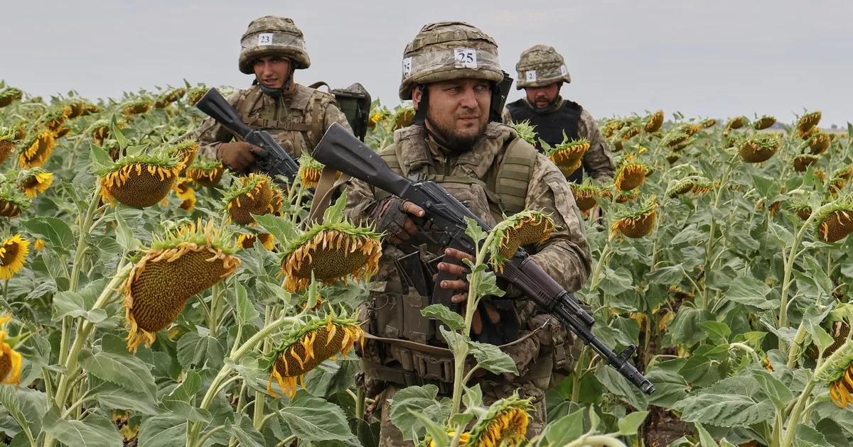 El precio de un cultivo que vive un boom en Argentina vuelve a niveles que no se veían desde los comienzos de la Guerra entre Rusia y Ucrania