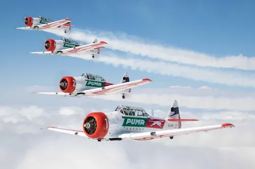 Feast of aviation acrobatics