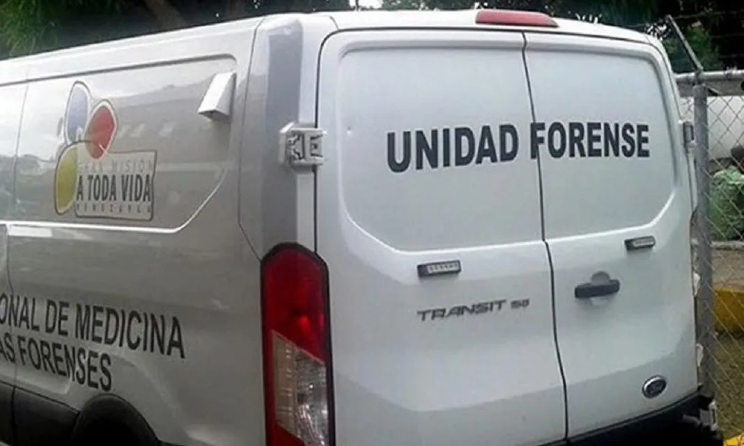 Muere adulto mayor tras ser atacado por perros