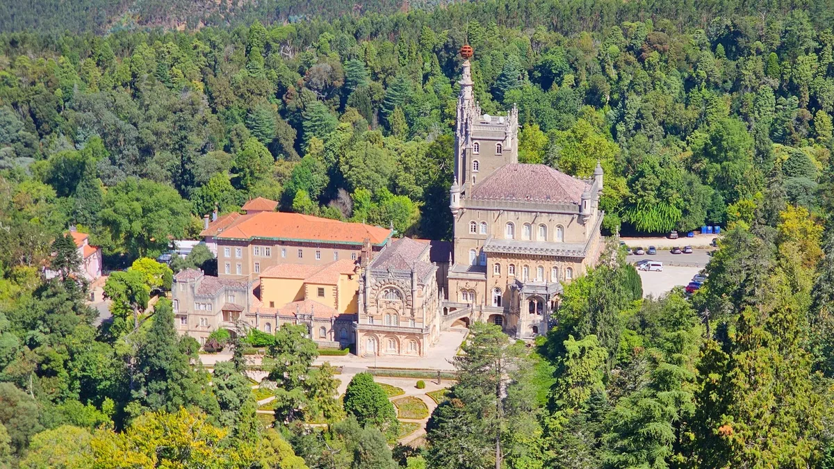 El bosque de Portugal que esconde un palacio y acaba de convertirse en el primer bosque terapéutico de la península ibérica