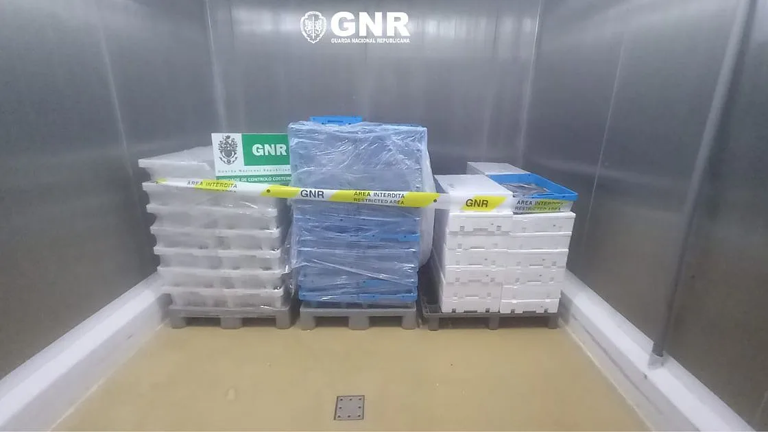 GNR apreende 710 quilos de pescado fresco no Porto de Pesca Costeira de Aveiro