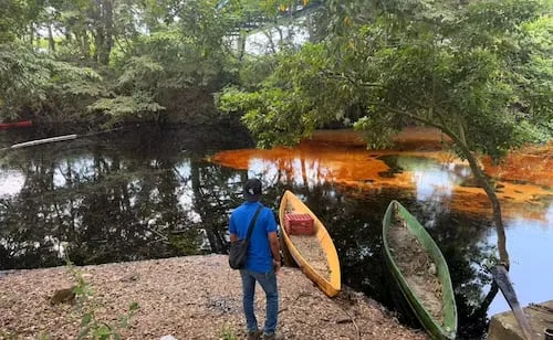 Pemex se deslinda de derrame de hidrocarburo en arroyo de Veracruz; "producto proviene de instalaciones ajenas", dice