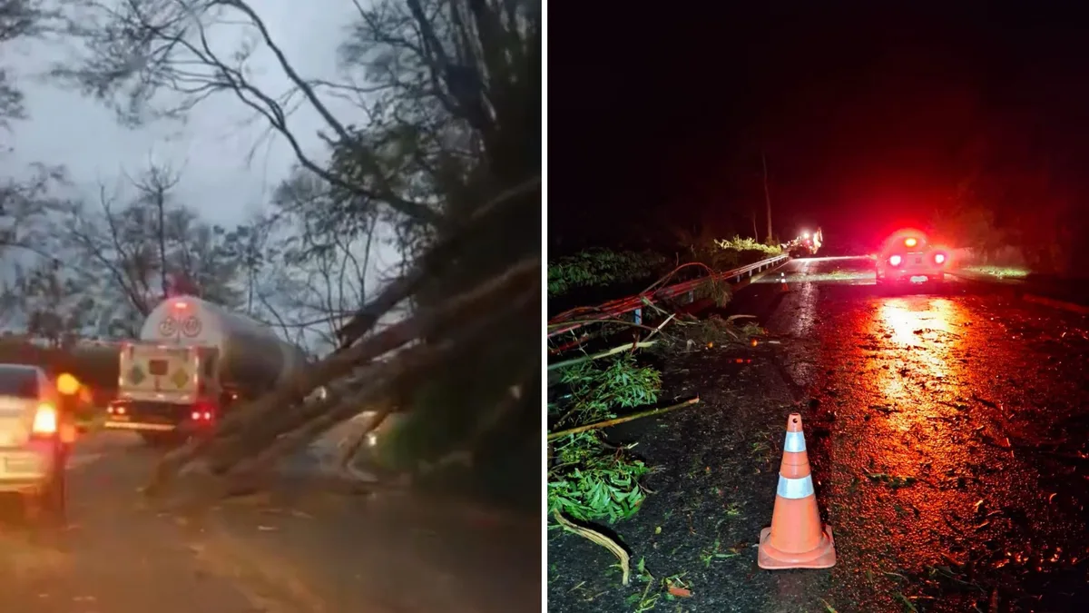 Rodovias têm interdições após chuva e ventania no Sul do ES