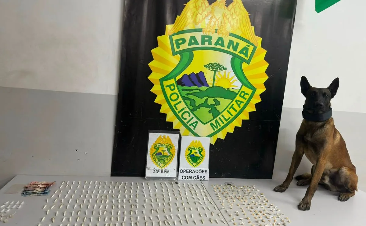 Cão farejador encontra centenas de pedras de crack e pinos de cocaína no Morro do Piolho, em Curitiba; dois são presos