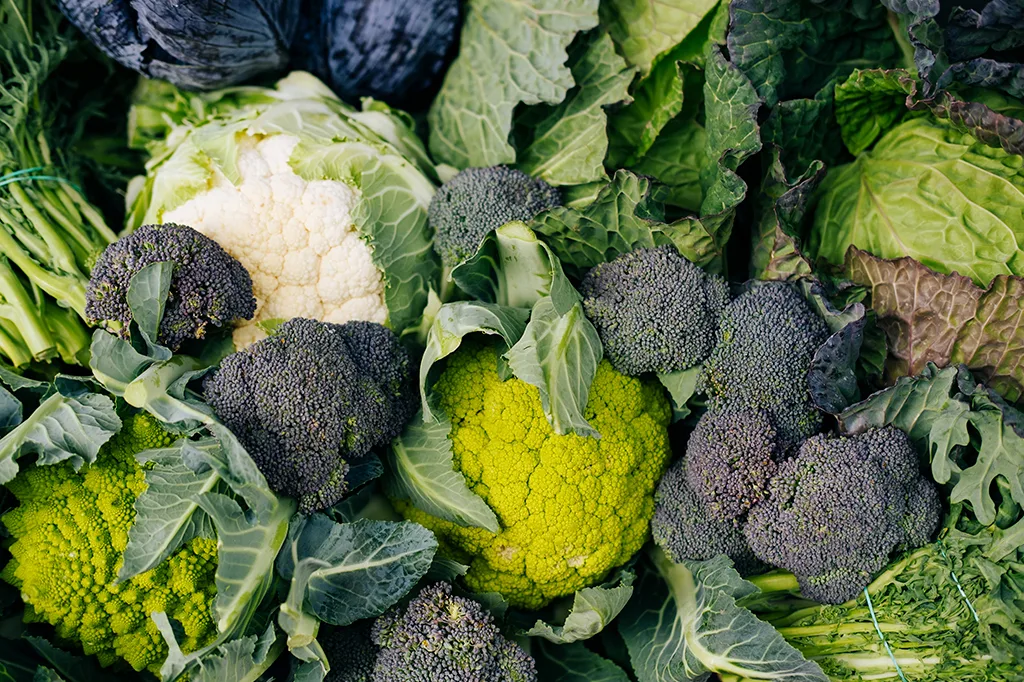 Vitamina K é associada a melhor saúde pulmonar em novo estudo