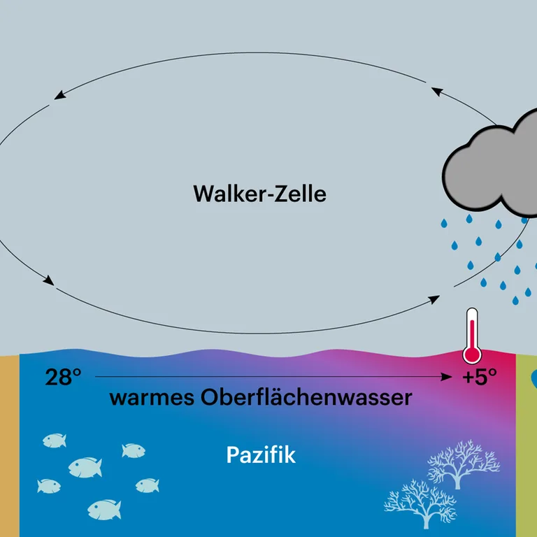 UNO-Wetterorganisation warnt - Extremer El Niño lässt Wetterkrisen 2027 befürchten