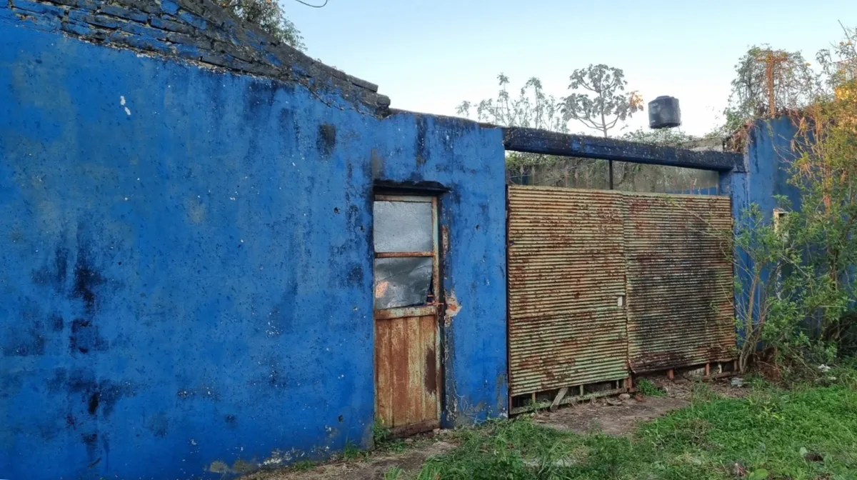 Encontraron muerto a un hombre en su casa en Misiones: investigan si sus perros se comieron parte del cuerpo