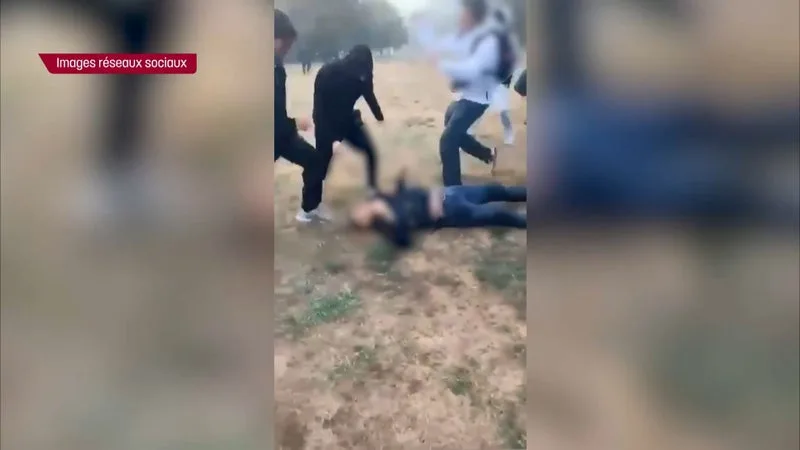 Policier agressé à Belfort: un lycéen remis en liberté sous contrôle judiciaire