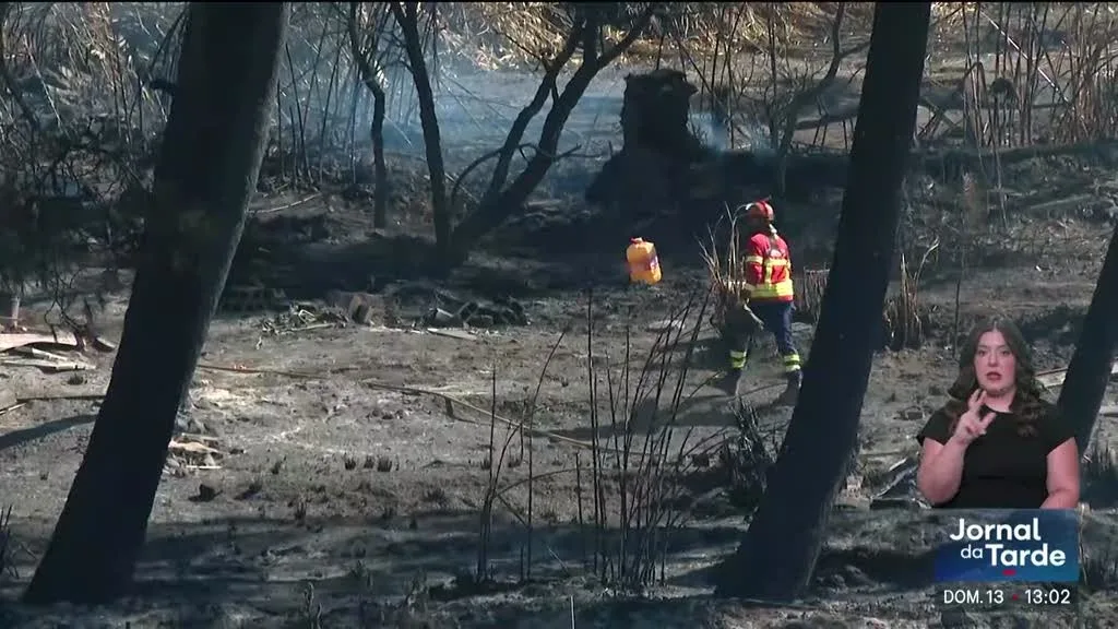 Incêndio. Aviso amarelo para 13 distritos até segunda-feira