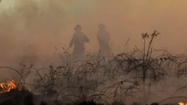 Dezenas exigiram em Águeda remoção de "barril de pólvora" nas florestas