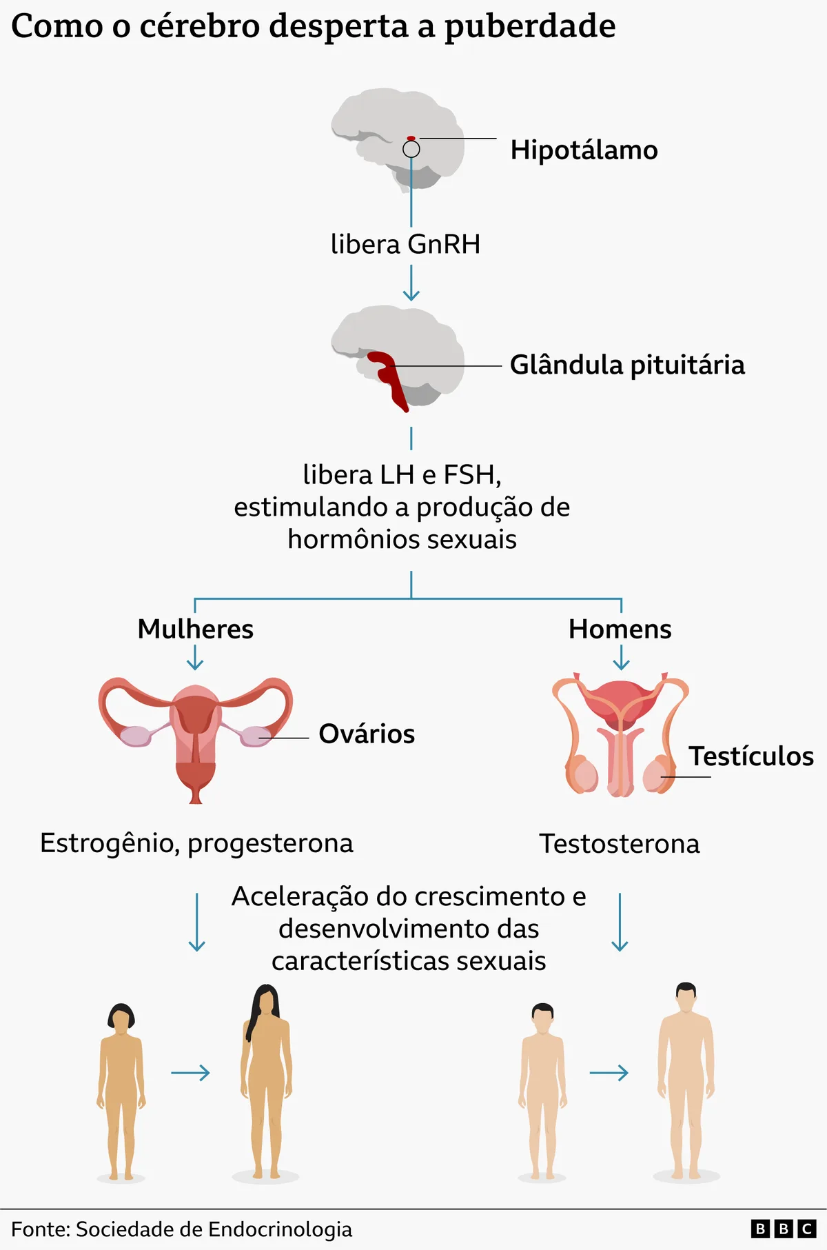 Os casos de puberdade precoce que intrigam os médicos em todo o mundo (incluindo no Brasil)
