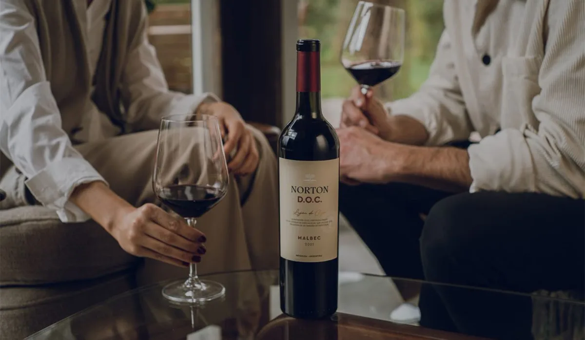 Malbec argentino X Cabernet chileno: qual vinho tinto é melhor?
