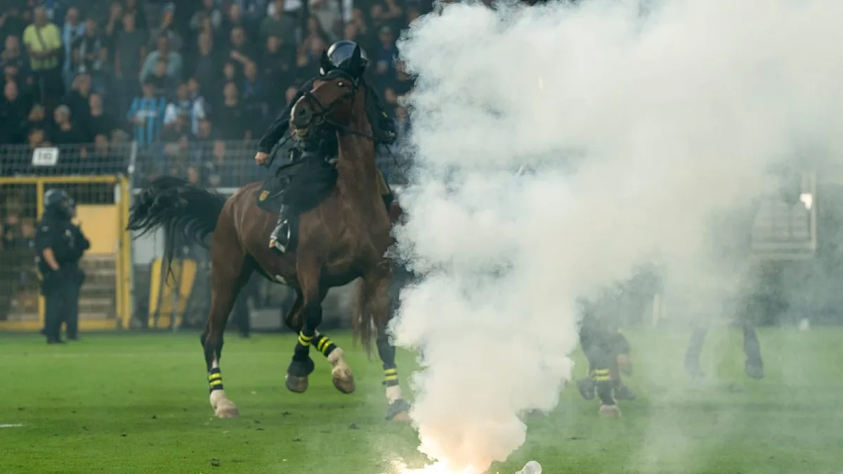 Nach Skandal-Spiel im DFB-Pokal - Peta will Polizei anzeigen!
