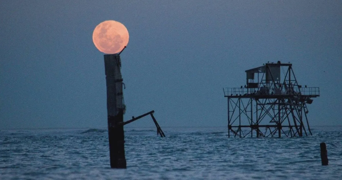 Así se vio la Luna de Sangre desde la Patagonia: las postales del último eclipse lunar del 2026