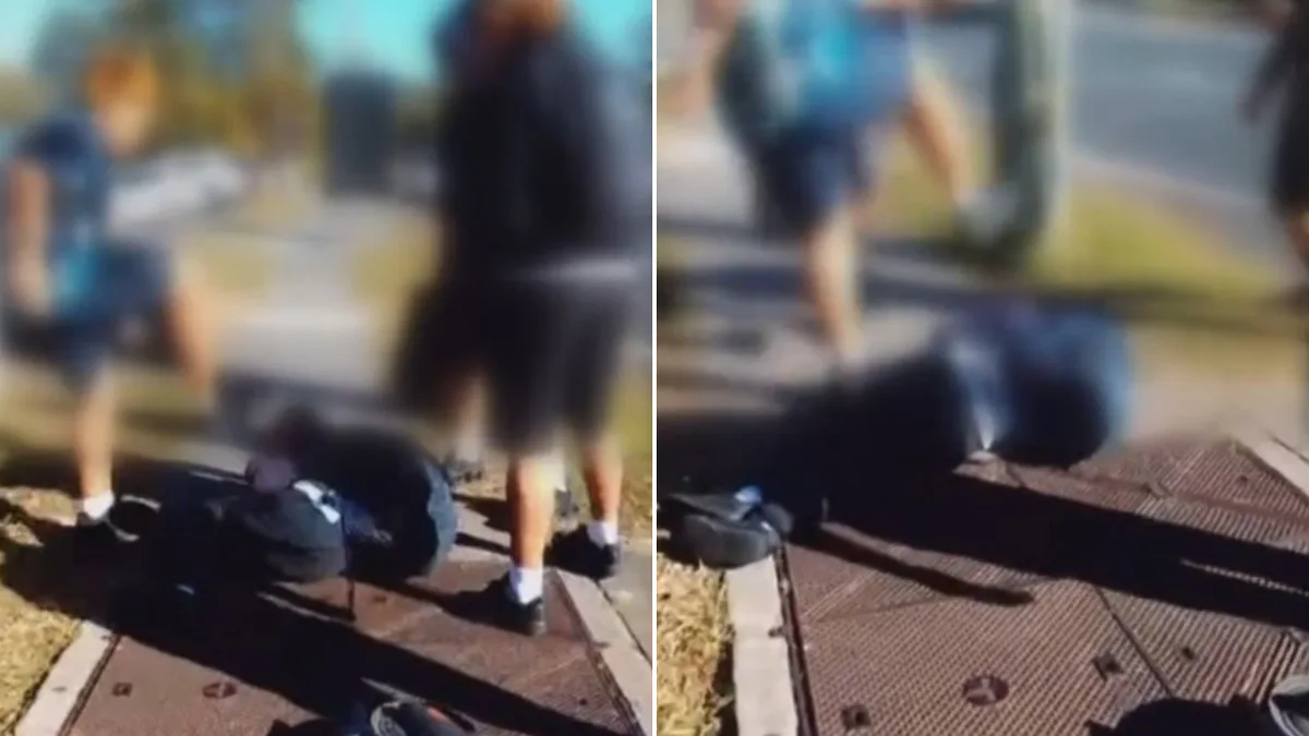 Fourth teenager charged after alleged violent ambush left Logan boy with fractured skull and hearing loss