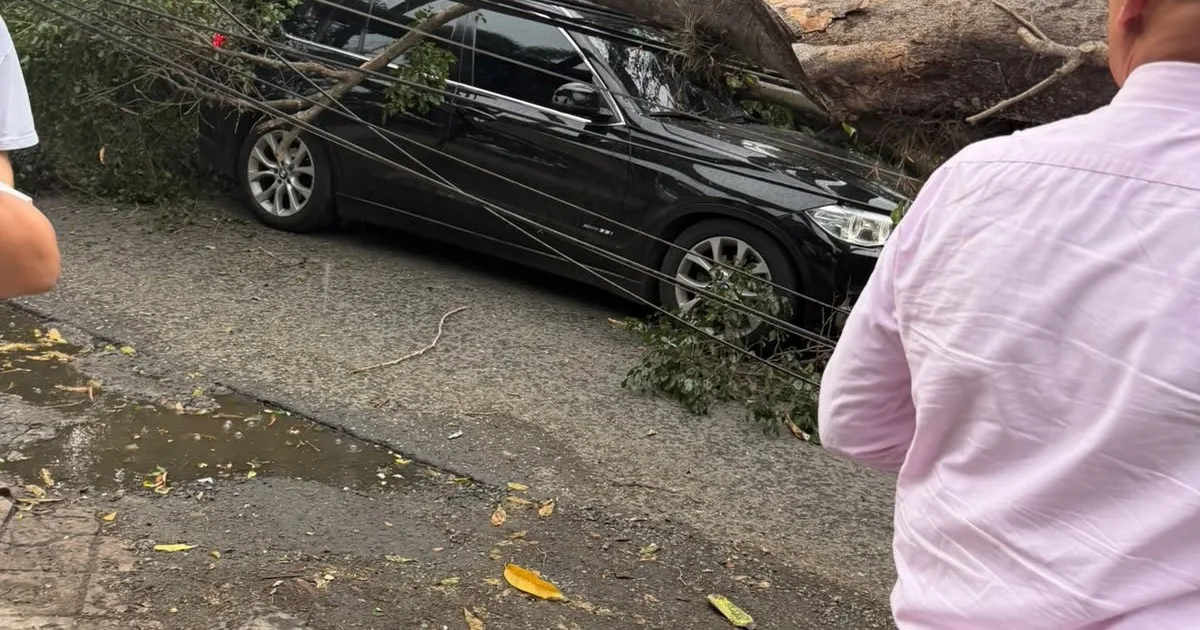 Tremendo accidente de un ex San Lorenzo y Banfield en Colombia