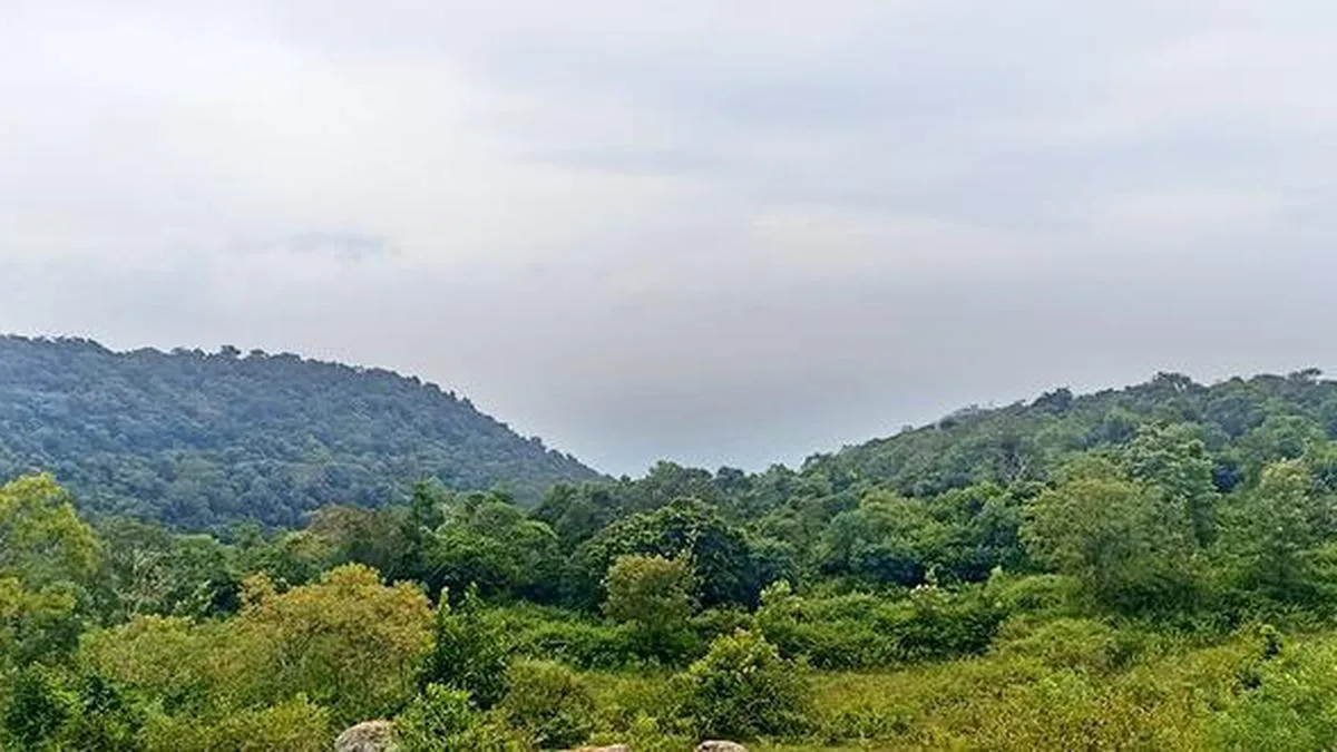 After backlash, Keralam Forest dept withdraws controversial order permitting tree-felling on assigned land
