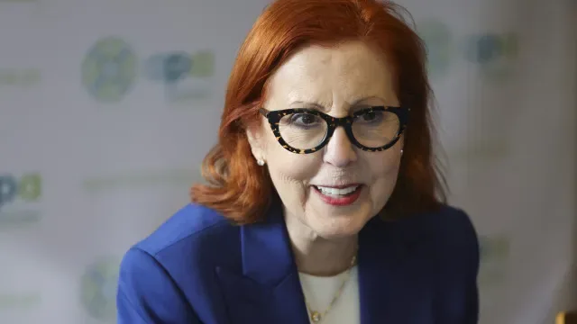 Ministra apela à "utilização cautelosa de energia renovável e hídrica"