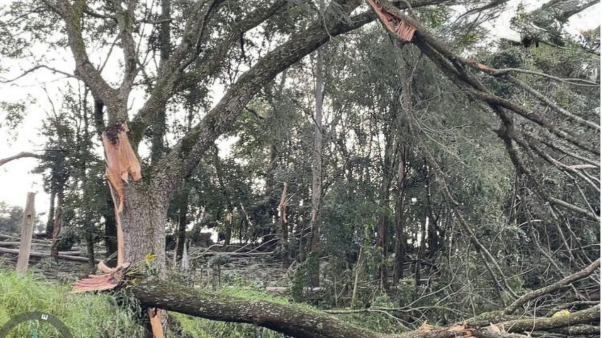 Defesa Civil apura ocorrência de tornado após tempestade em Santa Catarina