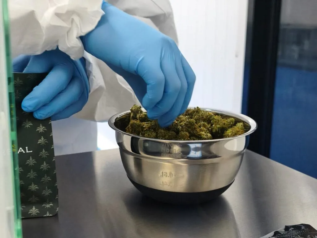 Costa Rica inaugura su primer laboratorio para fabricar medicamentos de cannabis medicinal