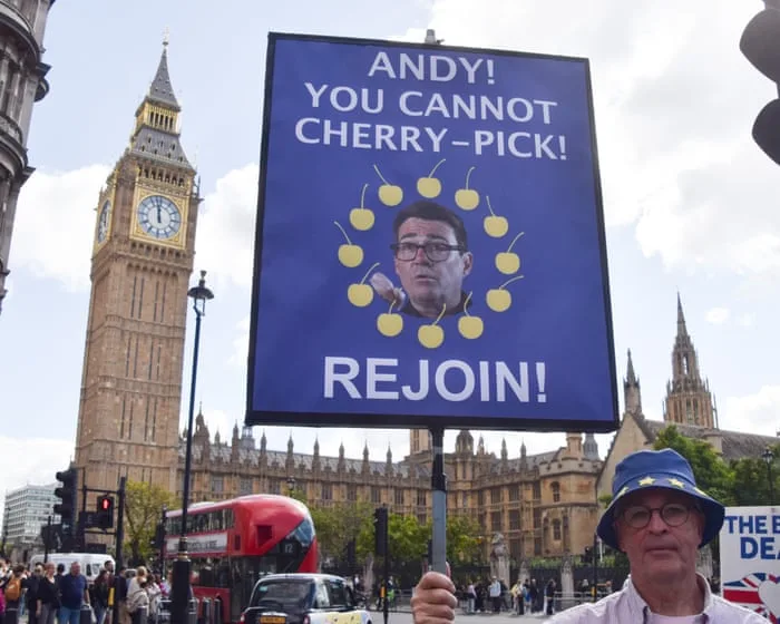 Tony Blair says Britain should work towards rejoining EU in next 10 years