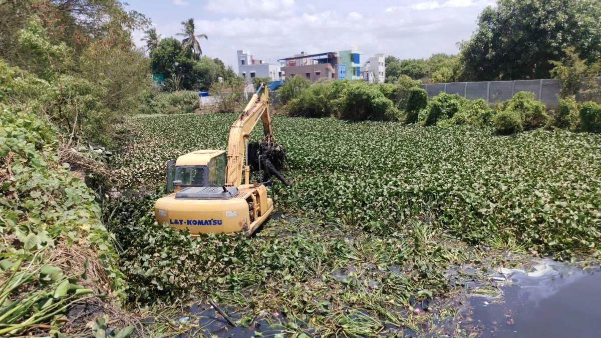 WRD begins clearing water hyacinth from Uyyakondan canal in Tiruchi