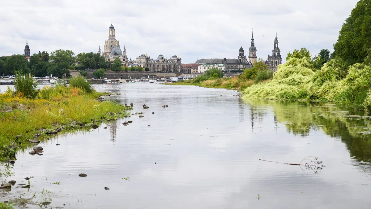 Neues Flusskraftwerk in Dresden: „Das merkt nicht mal ein Frosch“