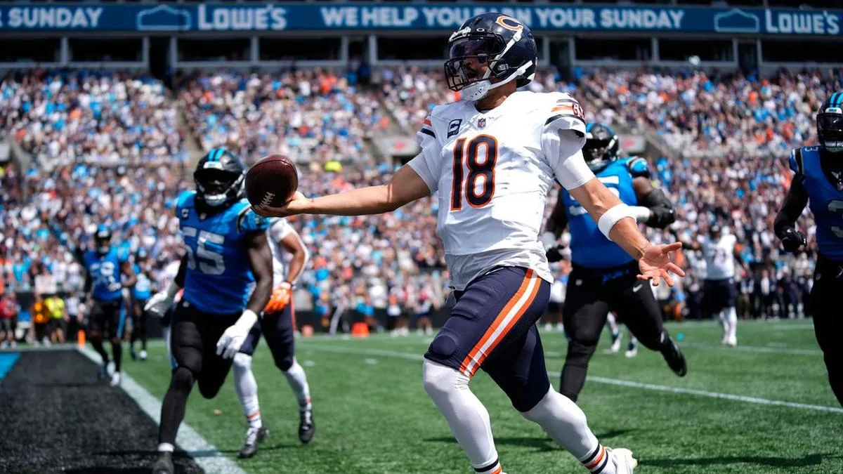 Bears trounce Panthers while Lions and Bills also win
