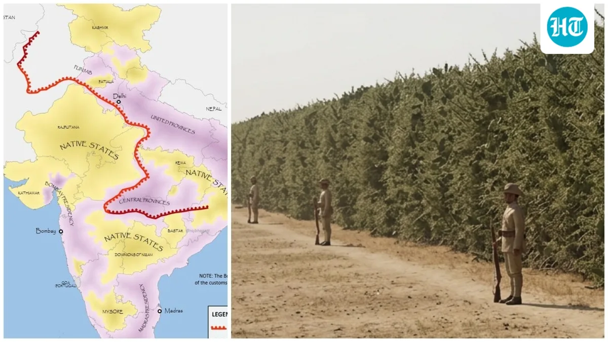 When the British built a 4,000-km wall of thorns across India to tax a kitchen ingredient