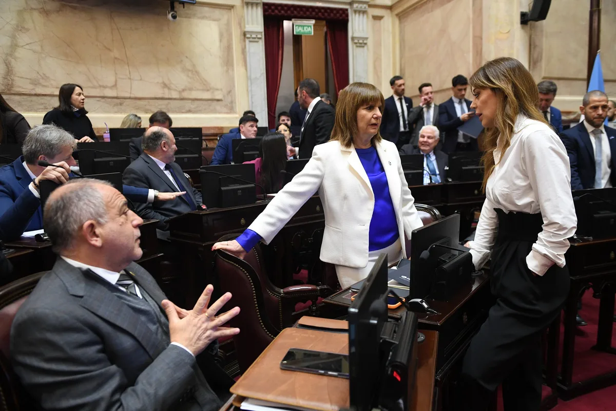 El Senado busca lograr hoy el dictamen del super-RIGI con cambios pedidos por los aliados