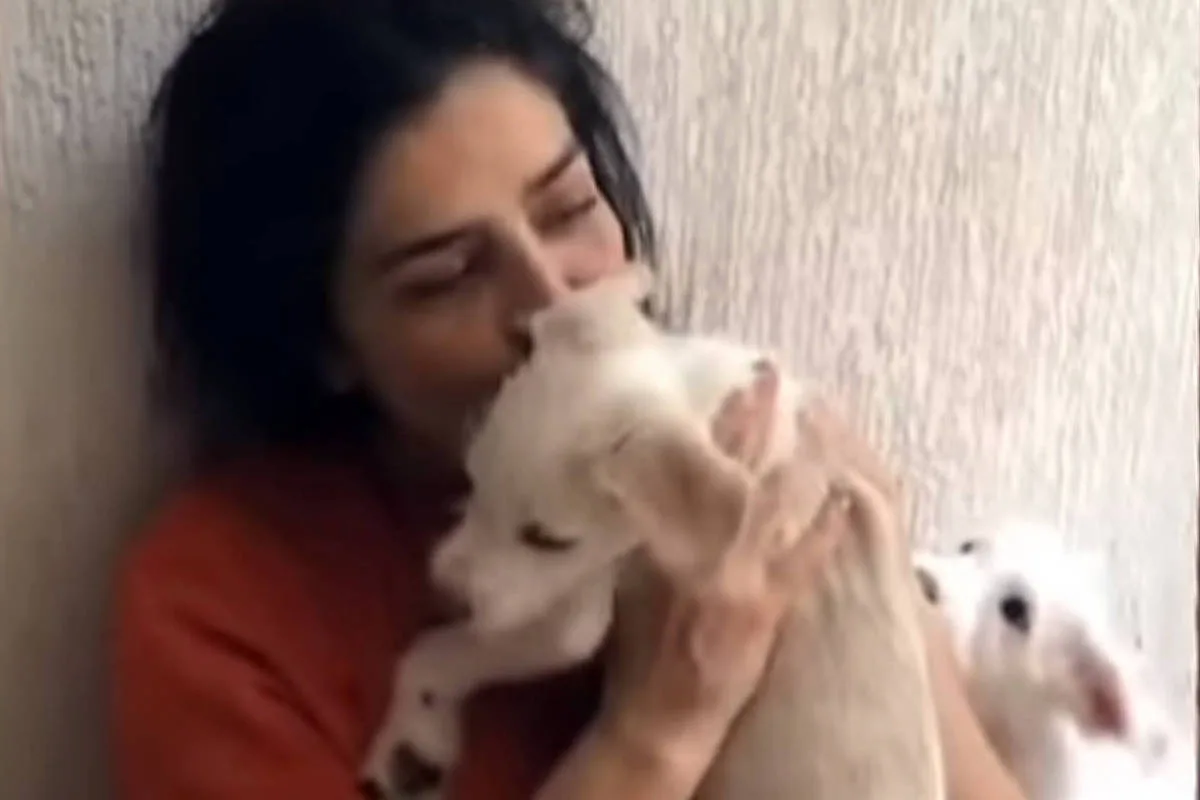 Justiça autoriza uso de força policial para recuperar cão de Letícia Sabatella