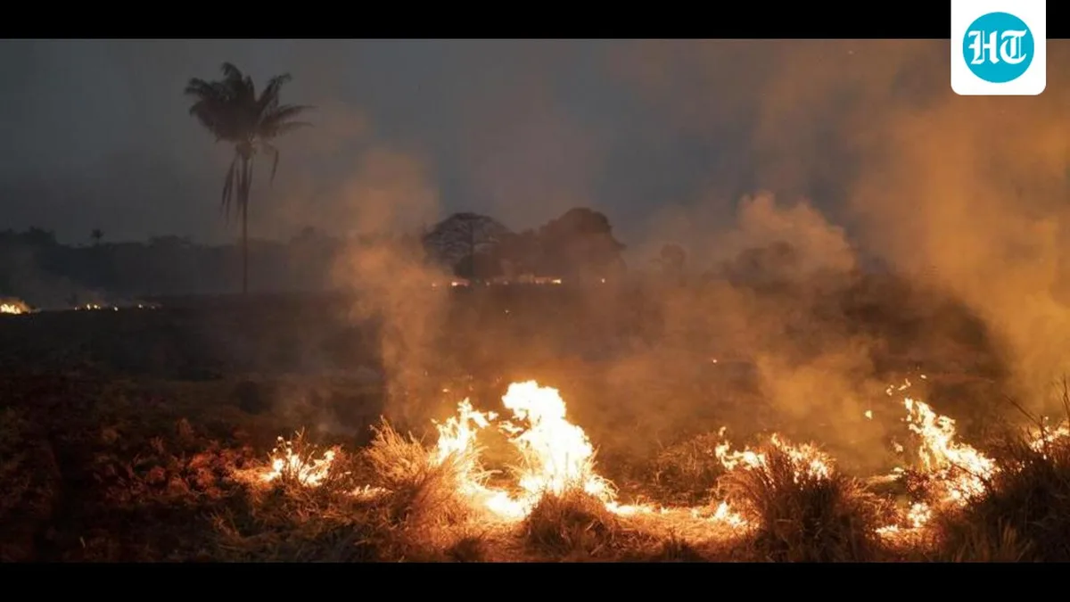 Farm fires evading satellite monitoring prompt focussed ground monitoring