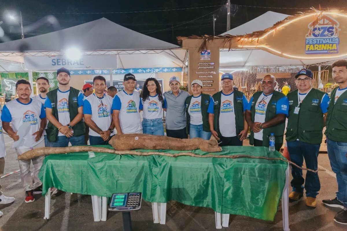 Mandiocas de quase 4 metros e mais de 30 kg vencem concursos do Festival da Farinha 2026