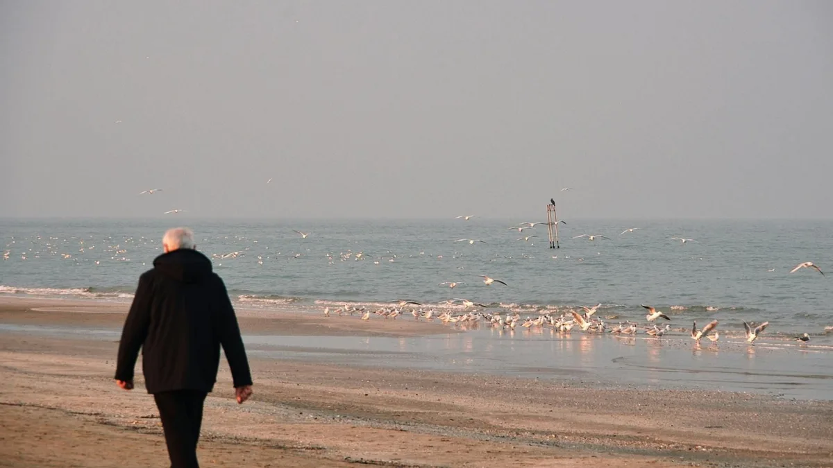 Los entrenadores lo confirman: para quemar 78.000 calorías al año a partir de los 50 años camina una hora cada día