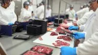Pilgrim’s, da JBS, compra fabricante britânica de produtos suínos