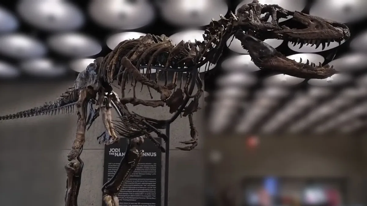 9 Millionen Dollar für Dino-Knochen! - Deshalb ist dieses Skelett so viel Geld wert