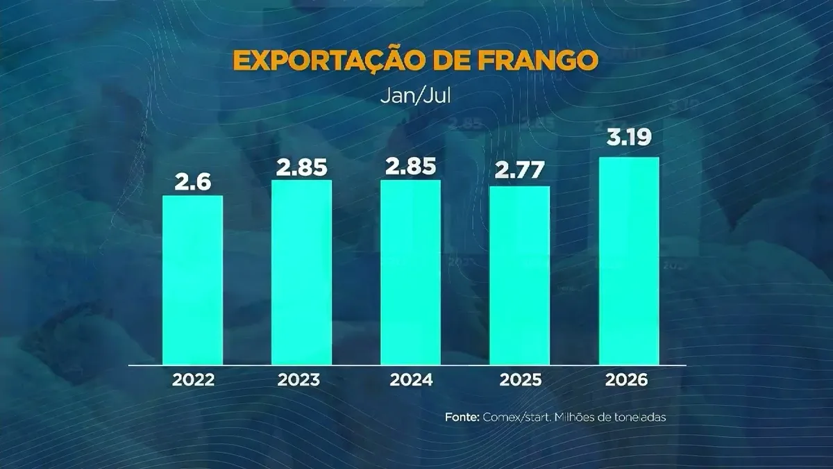 Exportações de carne de frango do Brasil crescem 15% em julho de 2026