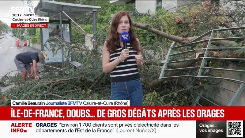 Orages: "Jamais je n'ai vu une tempête pareille", témoigne cet habitant de Caluire-et-Cuire