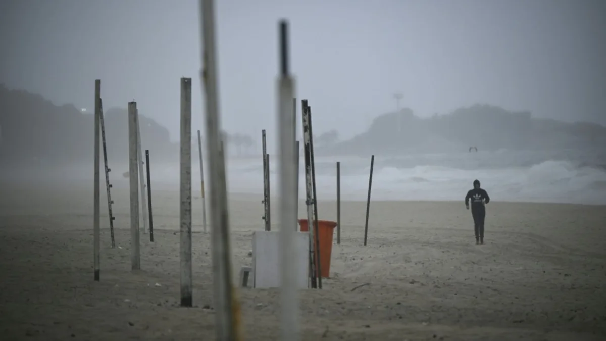Strandläufer