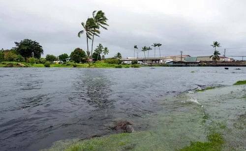 Tormenta tropical Marie se fortalece al sur de las costas de Jalisco; estos son los estados afectados