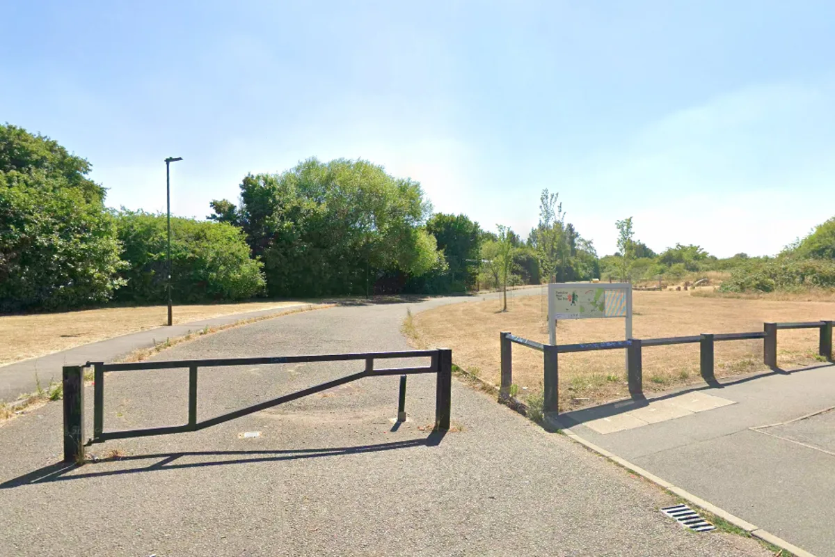 Murder investigation launched after human bones found in London woodland