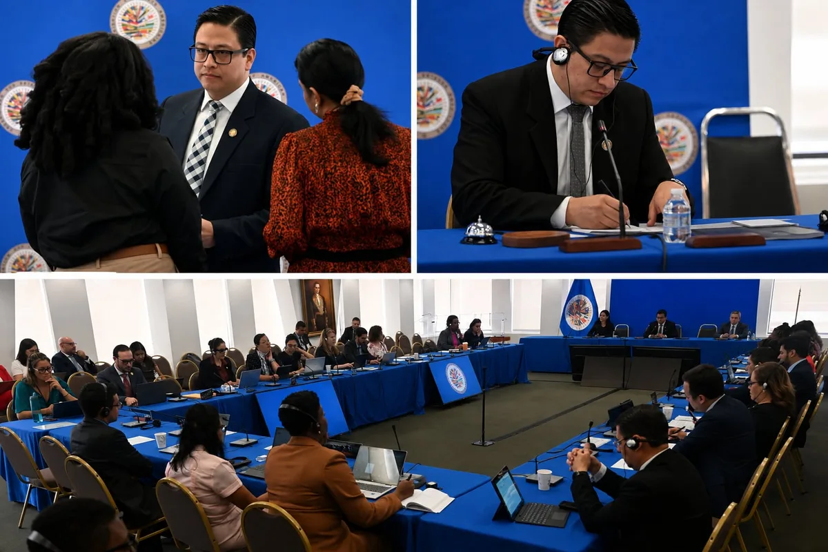 Guatemala mantendrá la presidencia del Comité de Expertos de la OEA con Julio Flores durante el período 2026-2027