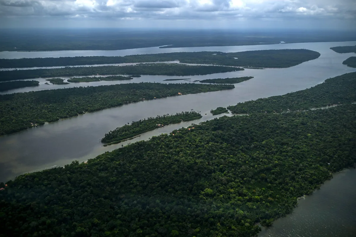Sob Lula, desmatamento na Amazônia atinge menor nível em 41 anos