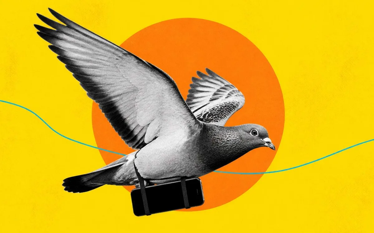 « Un pigeon est en route » : cette appli fait patienter vos messages pendant des heures… et son succès est fulgurant !