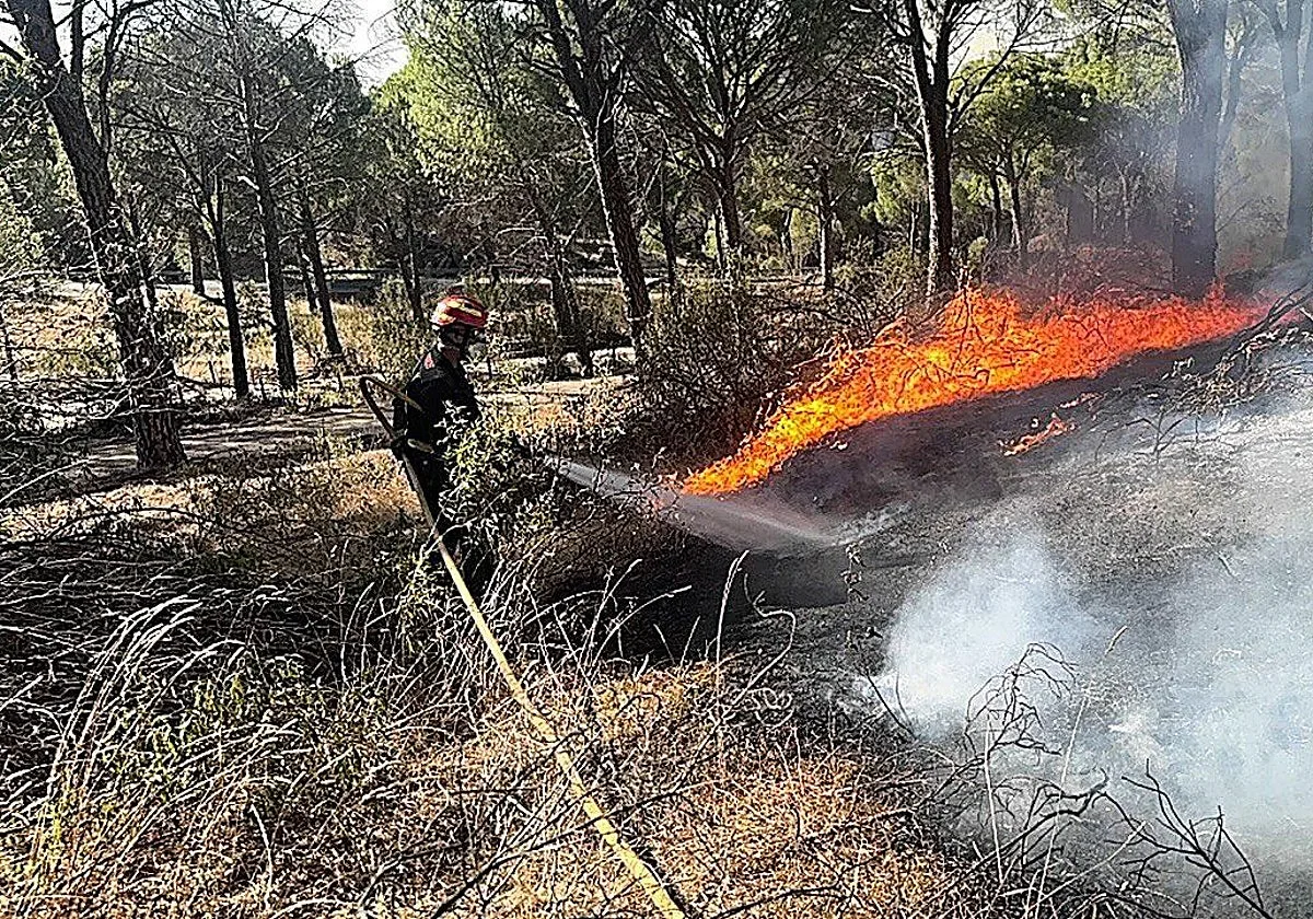 La recuperación total de los montes de la Sierra Oeste tras los incendios se extenderá una década