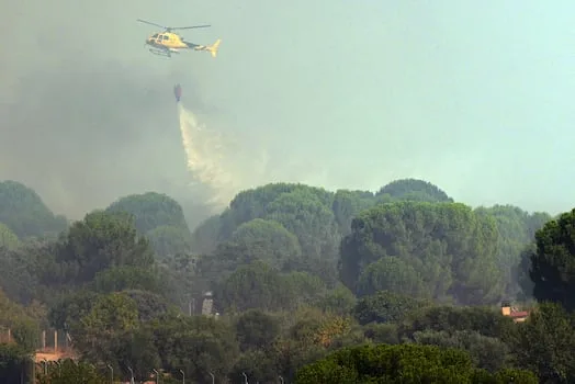 BJORN LOMBORG | Global fire rates drop despite headlines of disaster