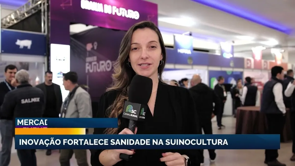 Tecnologia e inovação na suinocultura: prevenção e sanidade em foco