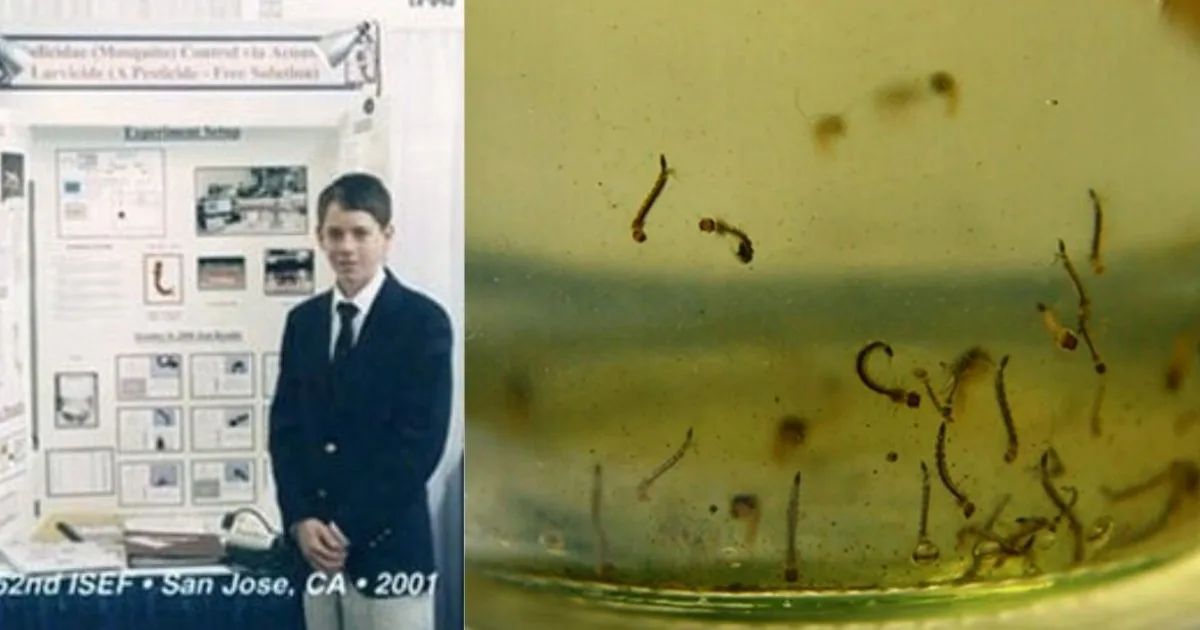 Su invento para combatir los mosquitos continúa más vigente que nunca: a los 13 años descubrió la efectividad de la energía acústica generada bajo el agua