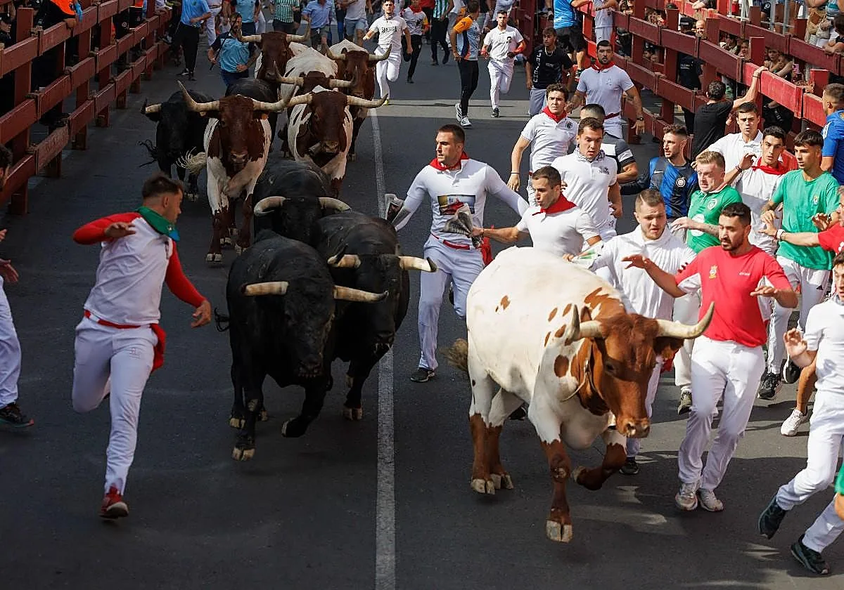 Fiestas San Sebastián de los Reyes 2026: programa, actividades, horarios y conciertos gratis