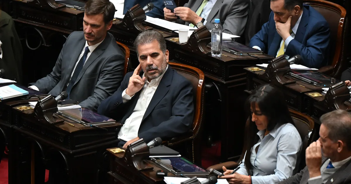 "El gobierno se equivocó": fuerte crítica del PRO a la gestión de Milei sobre el tema discapacidad